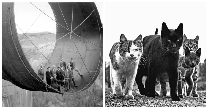 15 исторических фотографий с неожиданной историей