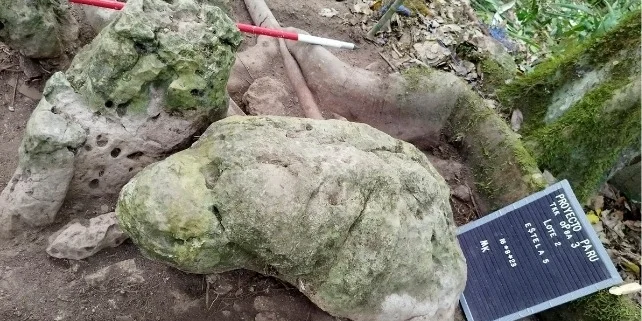 Археологи нашли в Гватемале затерянный город майя с пирамидами и древними скульптурами