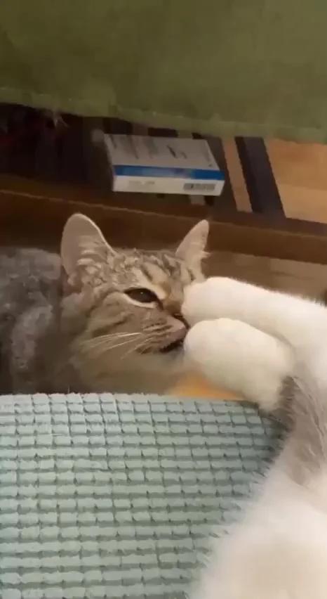Чуть не потерял сознание от любви)