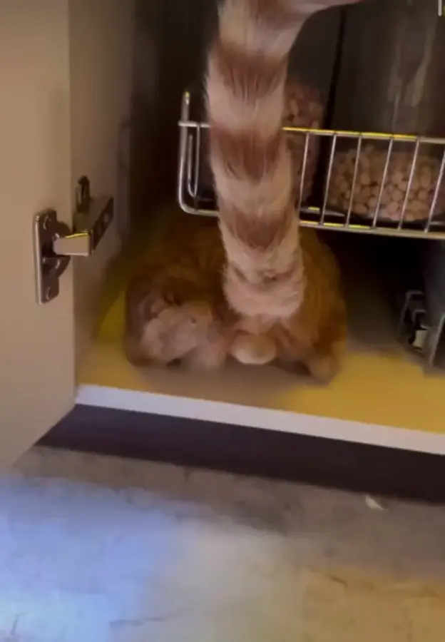 Добытчик