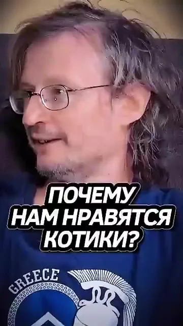 Дробышевский кратко о Котиках
