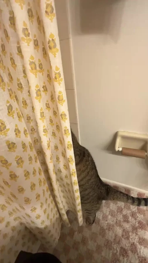 Дырокол