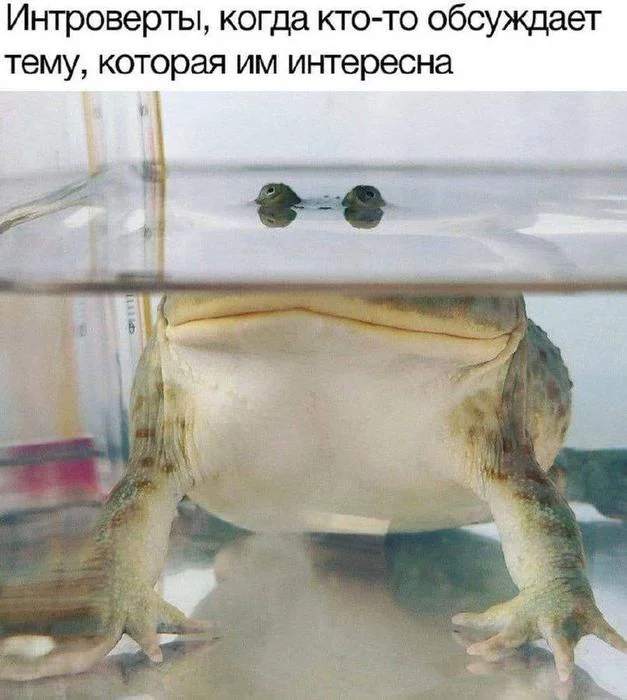 Юмор в картинках: мемы и смешные моменты