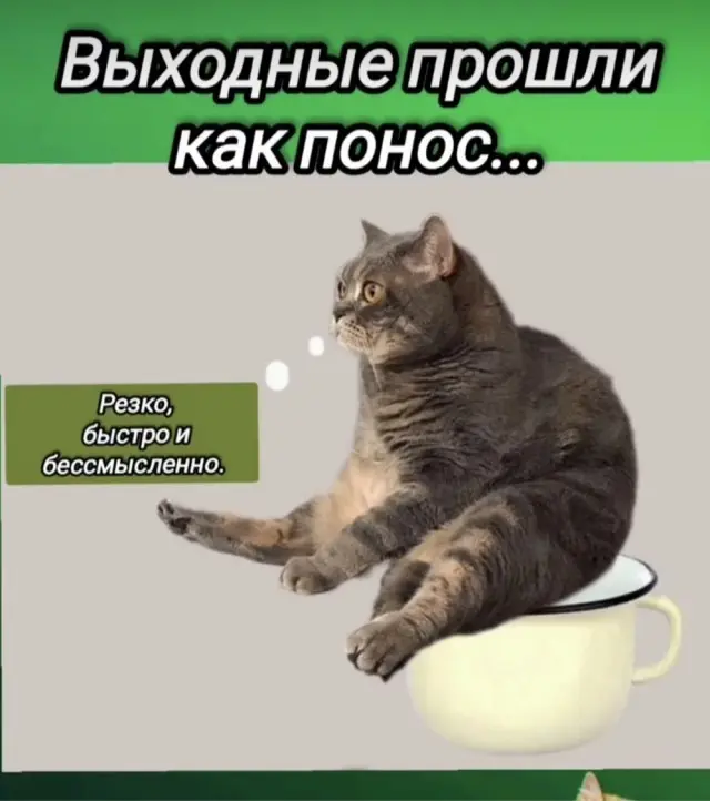 Картинки для деградации чувства юмора