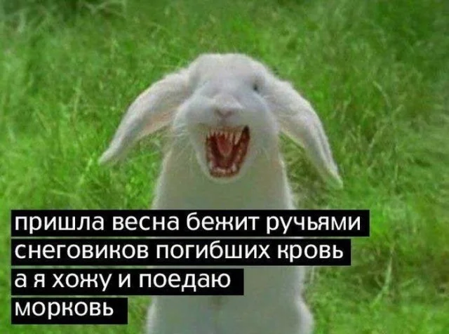 Картинки разной степени безумия