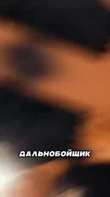 Кот дальнобой