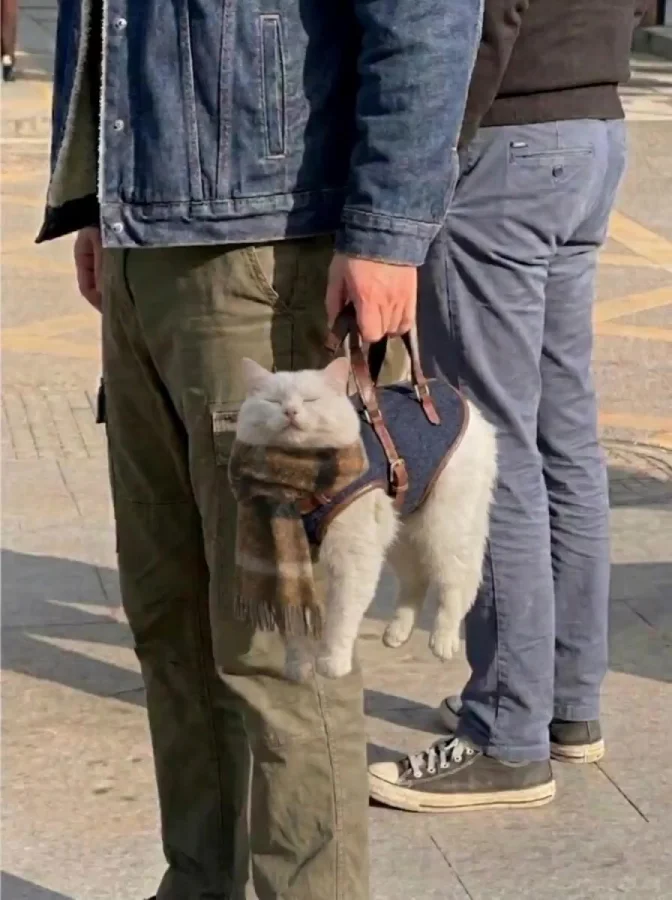 Котасумка, на чиле :)