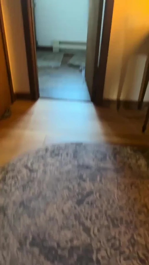Котострофа