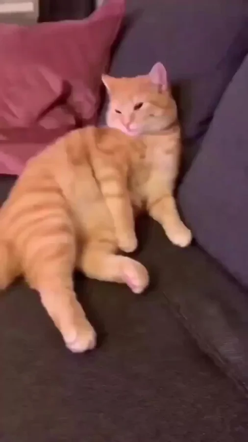 Любовь