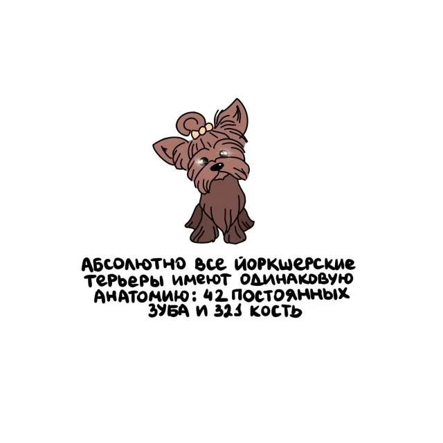 Мало кто знает, но…