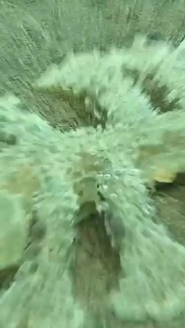 Морской пылесос МЕЛИБЕ