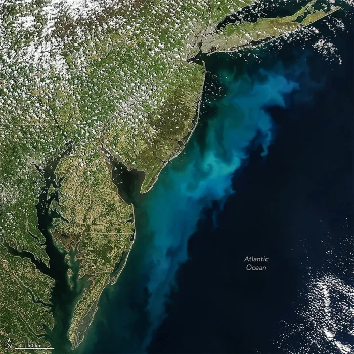 NASA опубликовало снимок загадочного скопления микроорганизмов у берегов США.