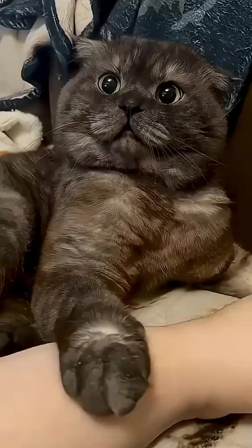 Не отдам, моё!