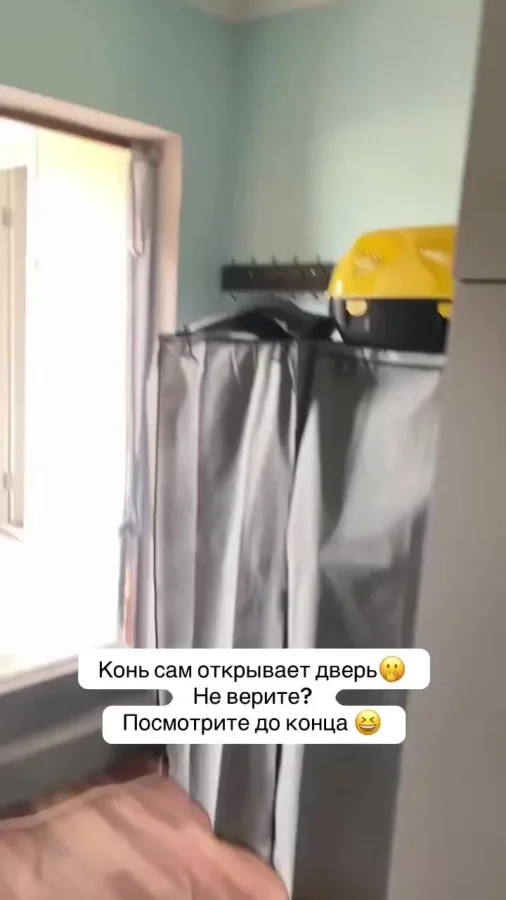 Нетерпеливый конь