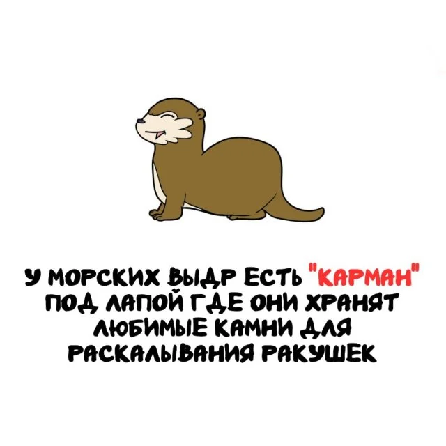 Невероятные факты о мире вокруг