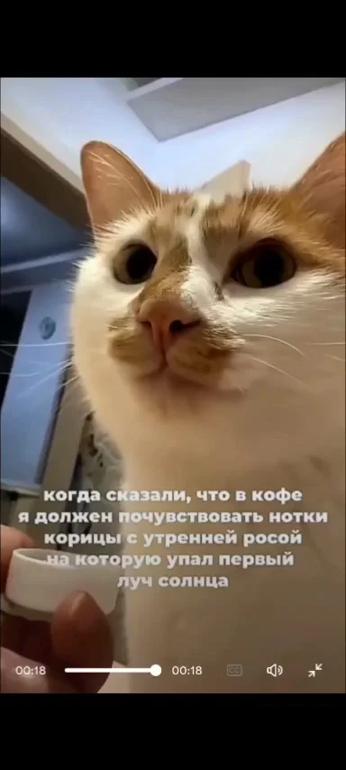 Ну по сути фкусна