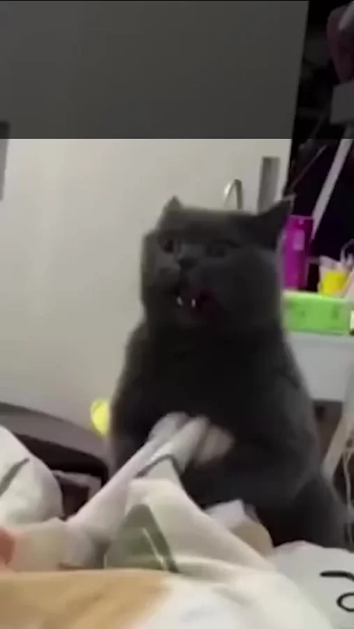 Озвучка топ