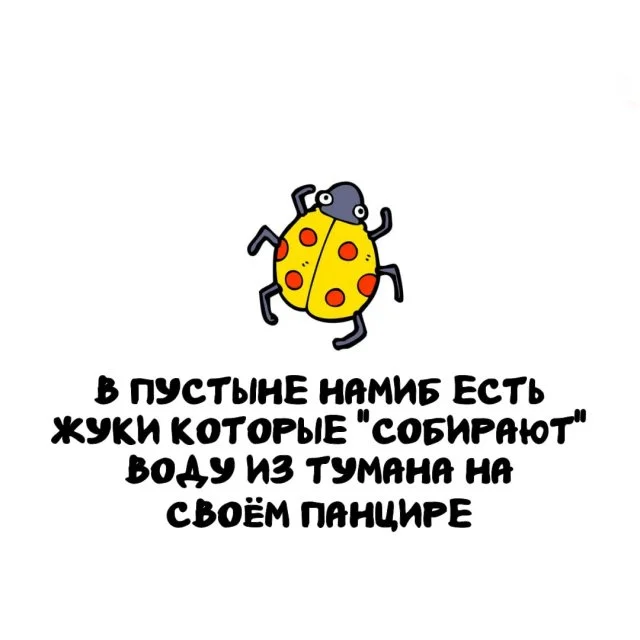 Подборка интересных фактов обо всём
