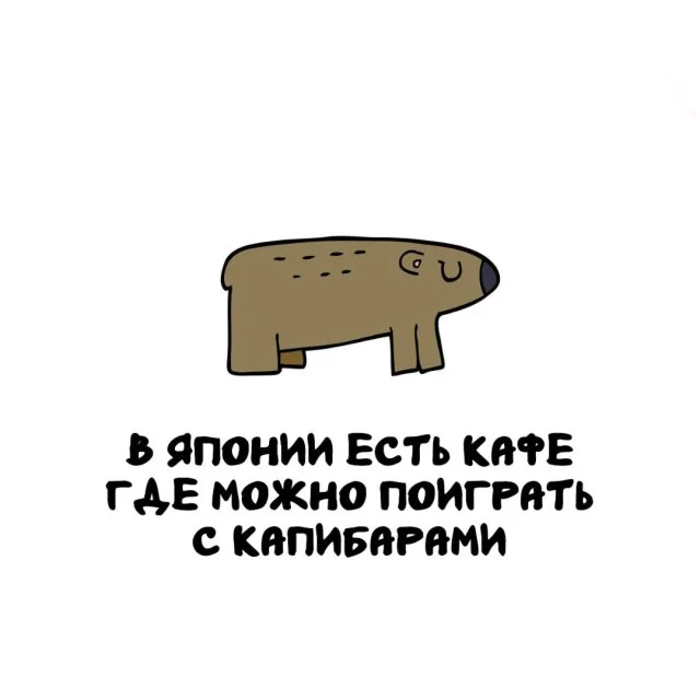 Подборка интересных фактов обо всём