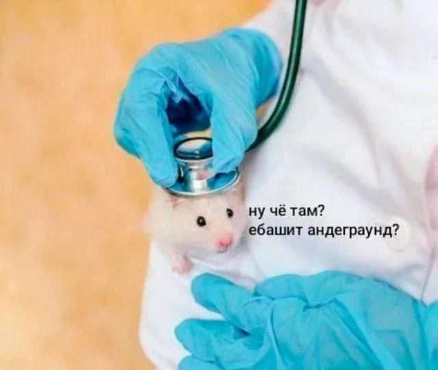 Подборка мемных и хаотичных картинок