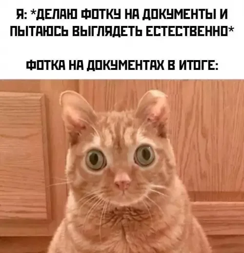 Подборка мемов и баянов