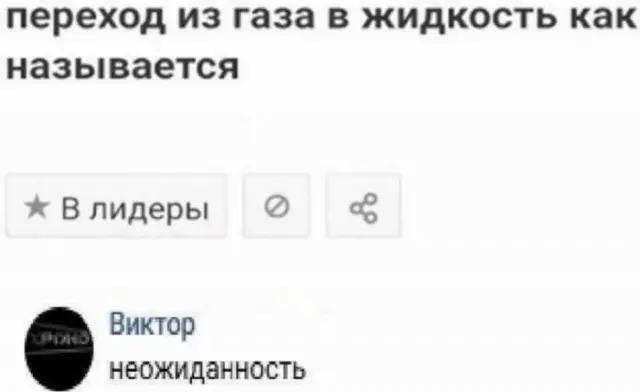 Подборка шуток и приколов для настроения