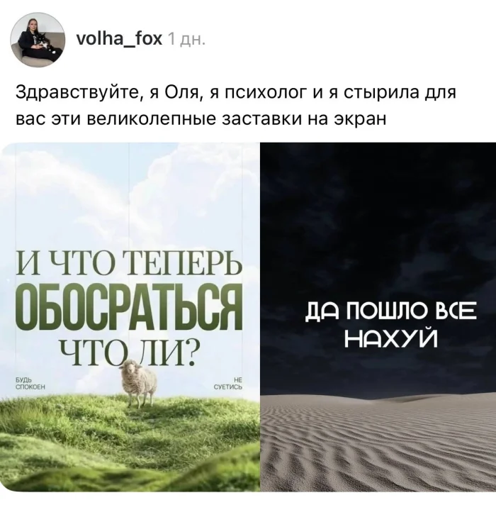Самые жизненные заставки на телефон