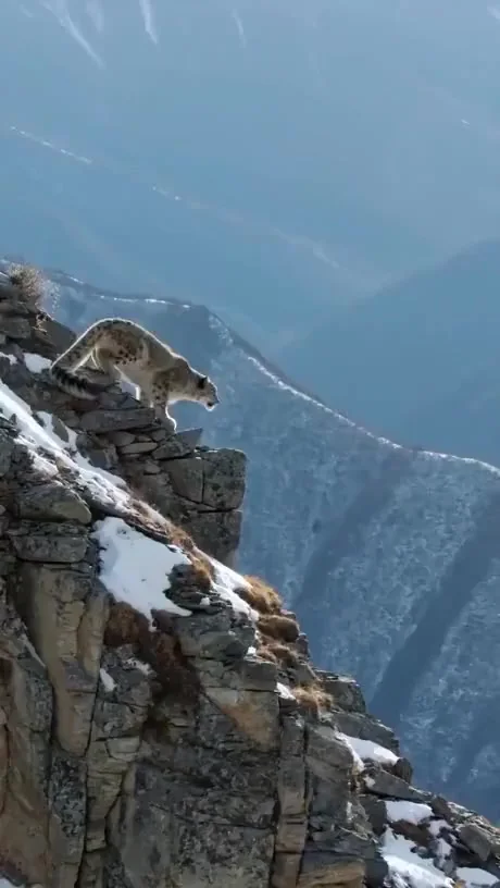 Прыжок