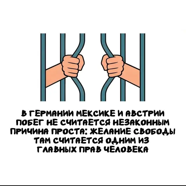 Сборник фактов обо всём и сразу