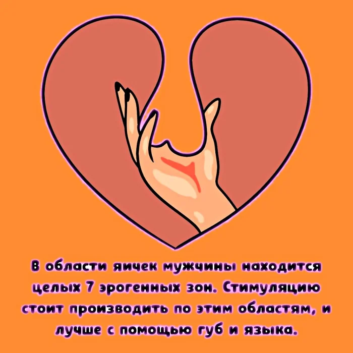 Сексуальная правда: 15 фактов, которым не научат в школе #350