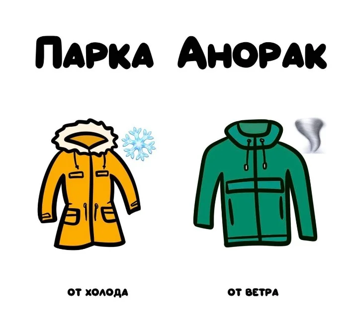 Слова, которые часто путают: в чём разница #47