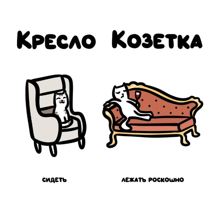 Слова, которые часто путают: в чём разница #51