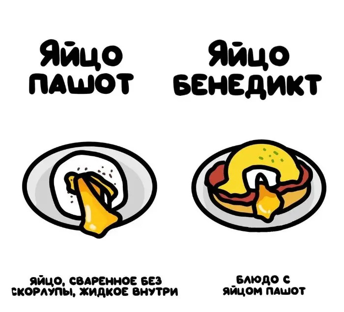 Слова, которые часто путают: в чём разница #58