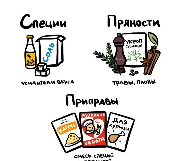 Слова, которые часто путают: в чём разница #59