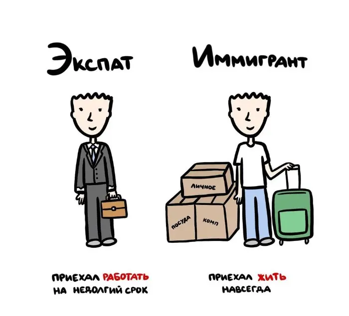 Слова, которые часто путают: в чём разница #64