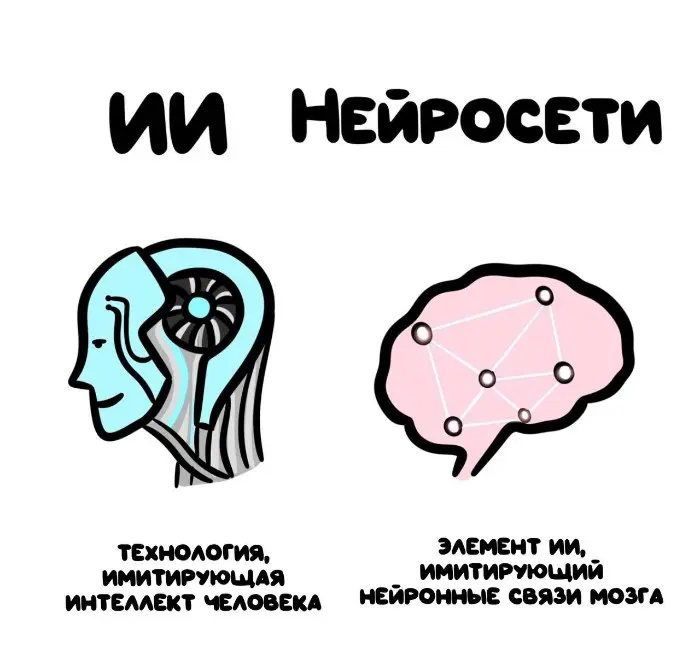 Слова, которые часто путают: в чём разница #65