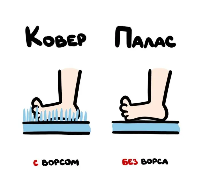 Слова, которые часто путают: в чём разница #70