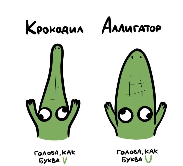 Слова, которые часто путают: в чём разница #72