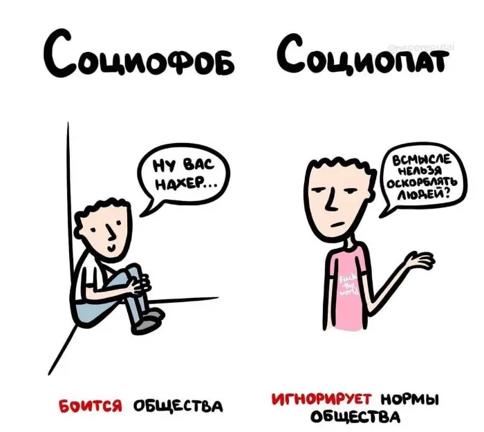 Слова, которые часто путают: в чём разница #74
