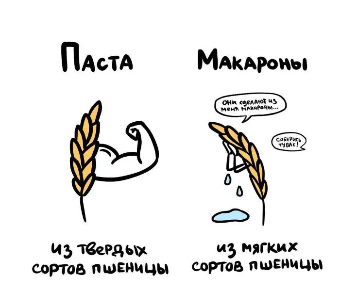 Слова, которые часто путают: в чём разница #78
