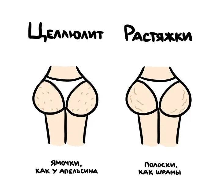 Слова, которые часто путают: в чём разница #78