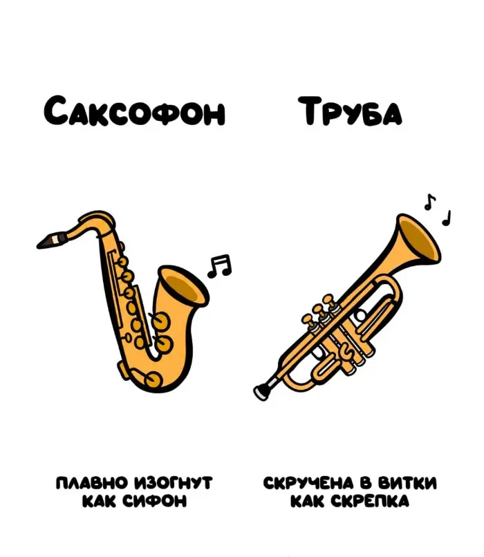 Слова, которые часто путают: в чём разница #83