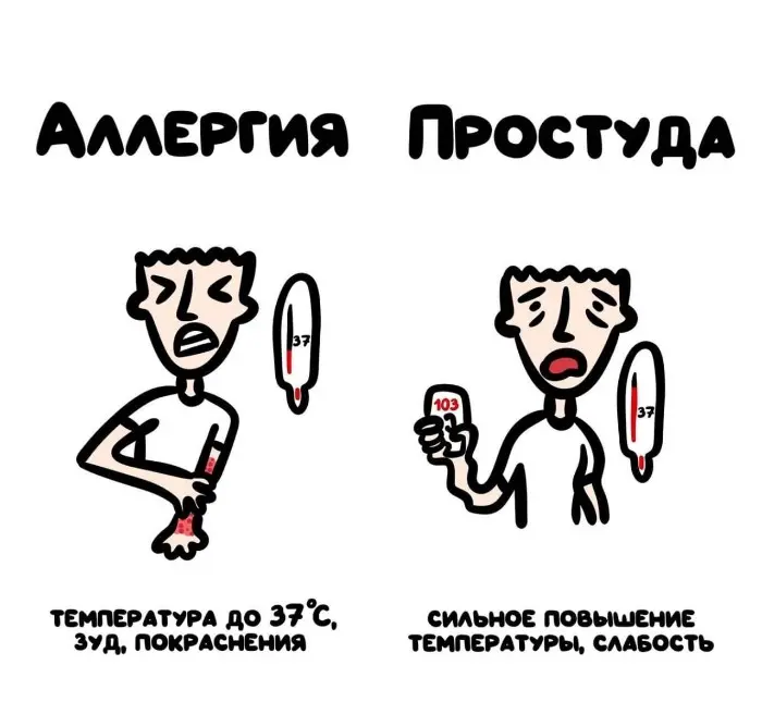 Слова, которые часто путают: в чём разница #84