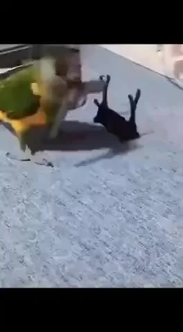 Станиславский в восторге!