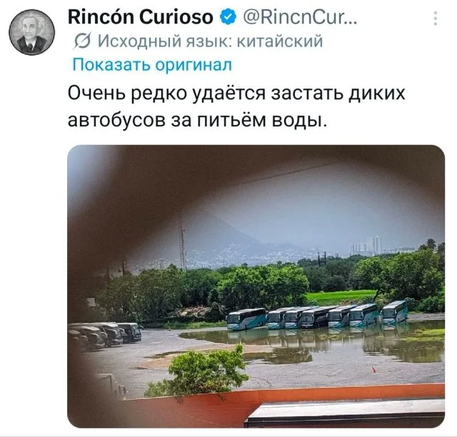 Свежая коллекция шутливых твитов