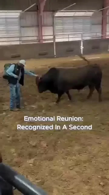 Своих людей они помнят всегда
