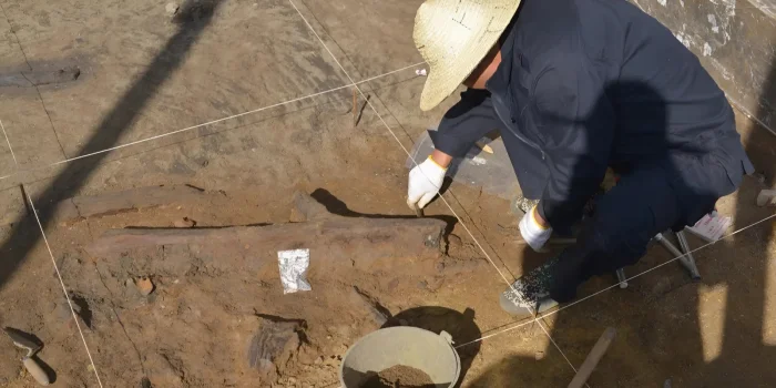 В Китае нашли деревянные орудия денисовцев, которым около 300 тысяч лет