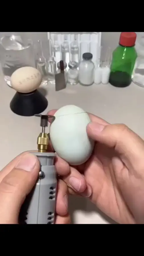 Выращивание цыпленка без инкубатора