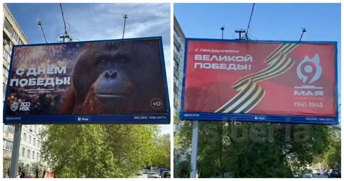 Зоопарк Новосибирска попал в скандал после публикации баннера с орангутаном