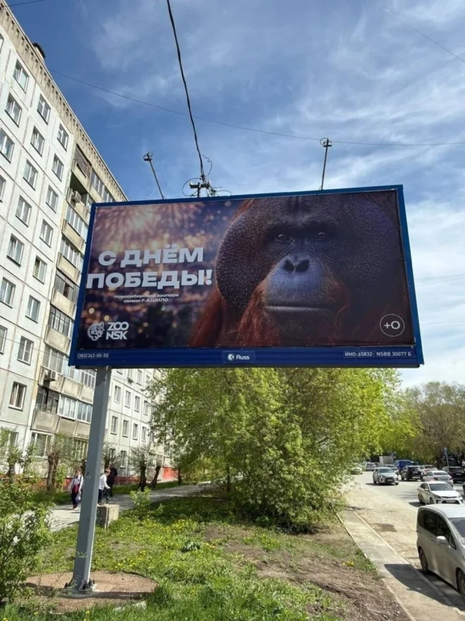 Зоопарк Новосибирска попал в скандал после публикации баннера с орангутаном